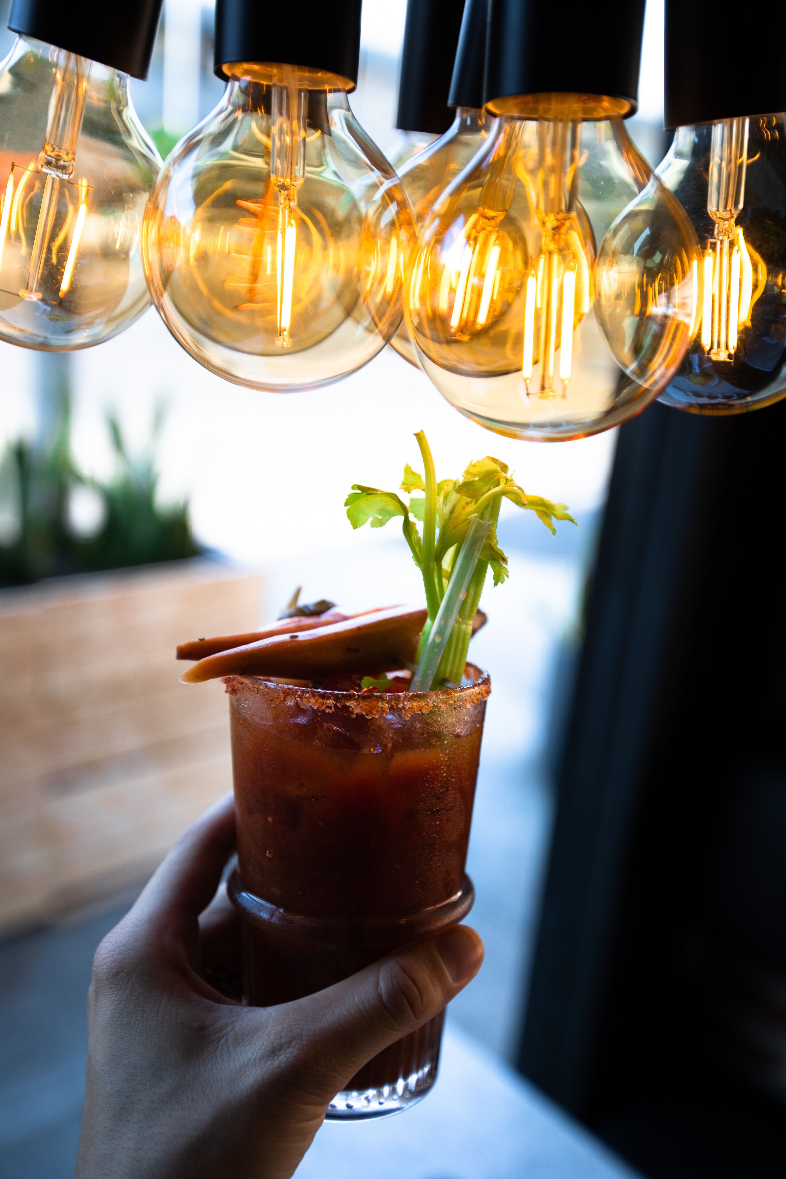 A hand holding a glass with a celery stick garnish, under a row of hanging light bulbs.