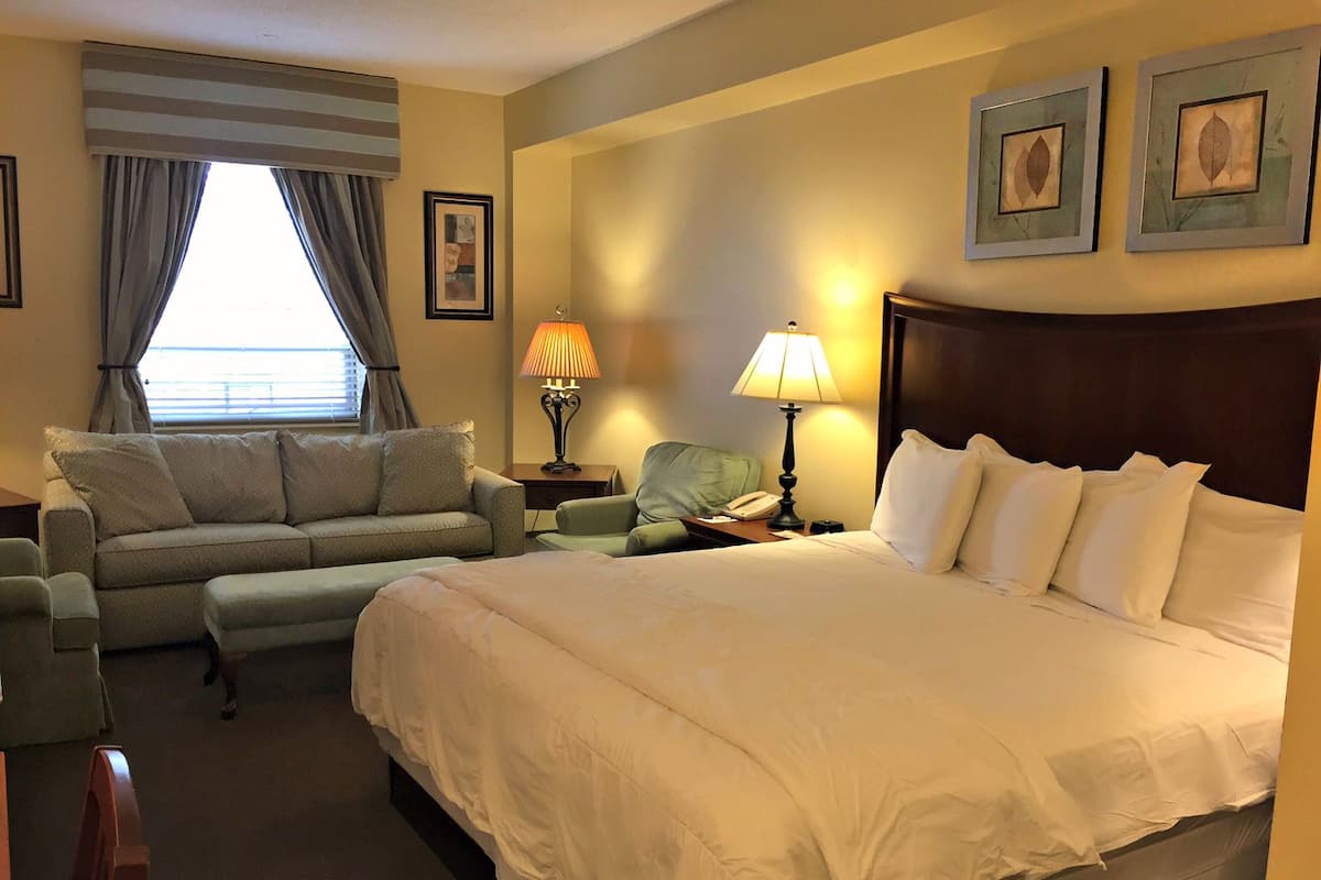 A hotel room with a large bed, a sofa, a chair, a nightstand with a lamp, and a window with curtains.