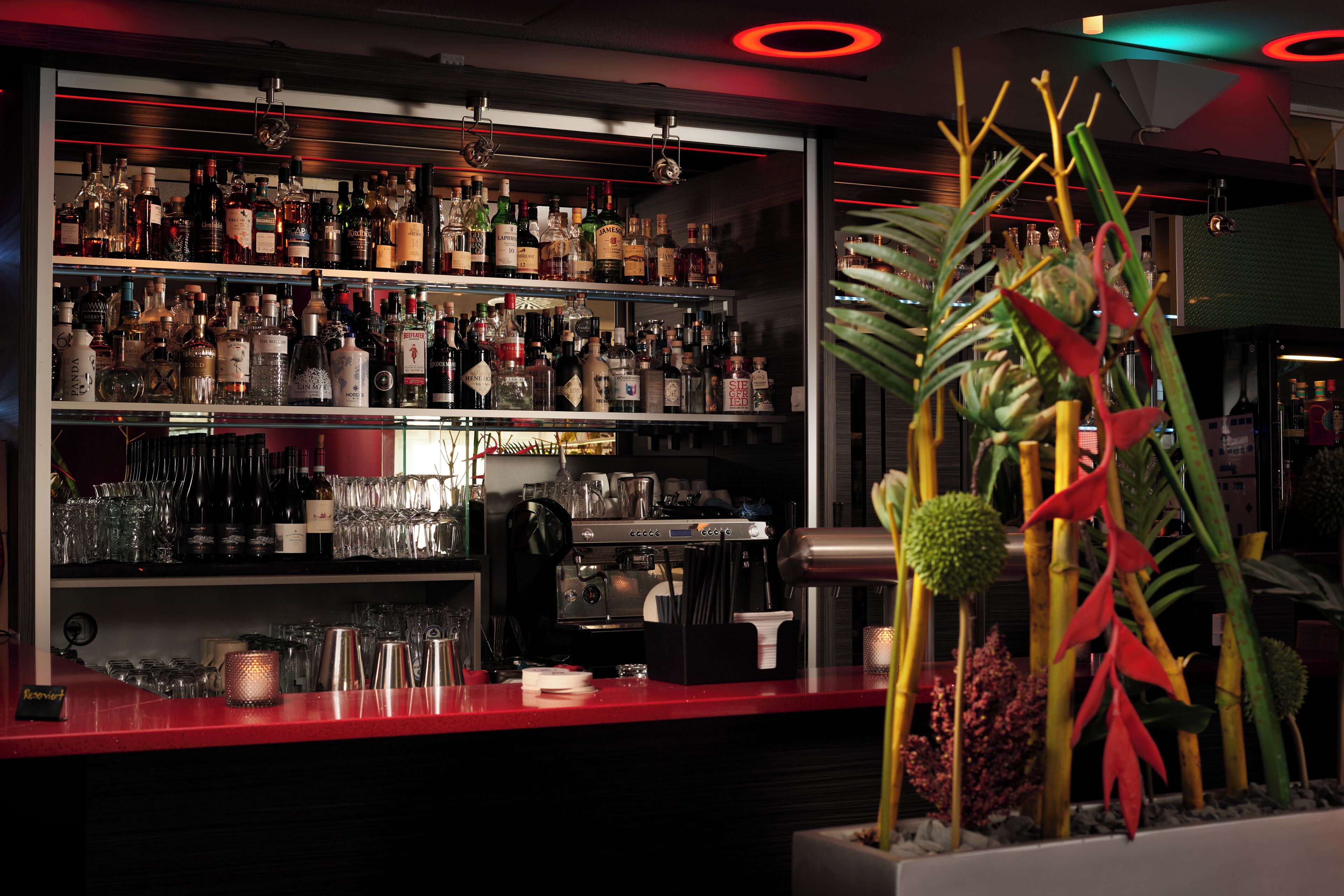 Bar (in der Unterkunft)