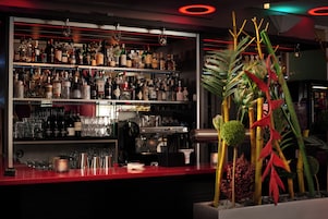 Bar (en la propiedad)