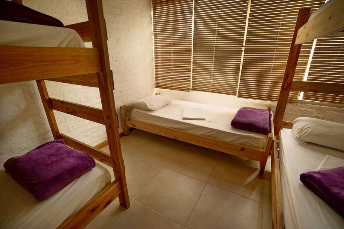 A dormitory room with bunk beds, a window with blinds, and a bed with a purple towel.