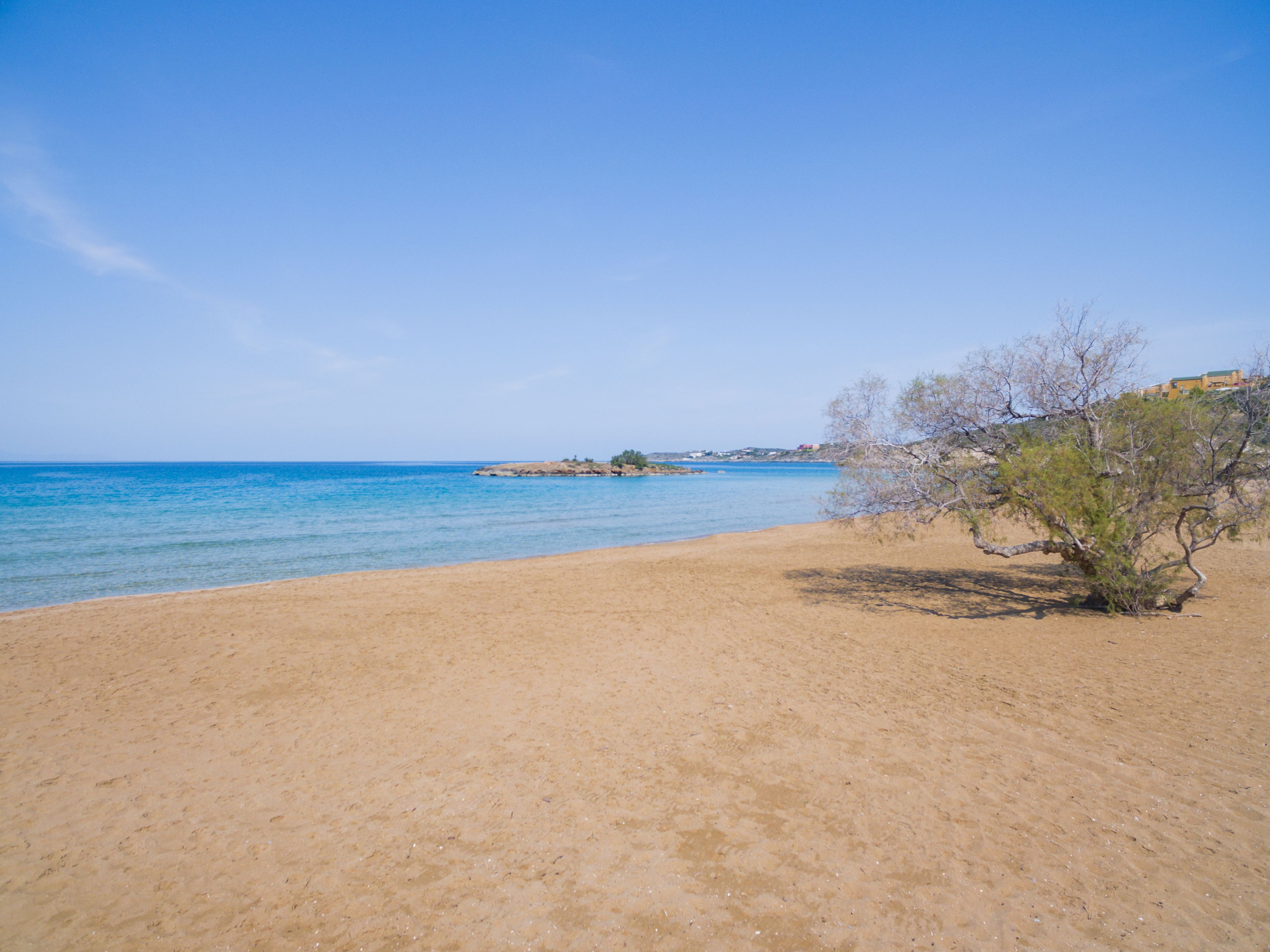 A sandy beach with clear blue water and a few trees.