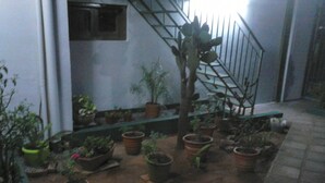 A courtyard with potted plants and a staircase. - Nueva Alborada Lodging House (Fernando De La Mora)