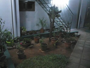 Property grounds - Nueva Alborada Lodging House (Fernando De La Mora)