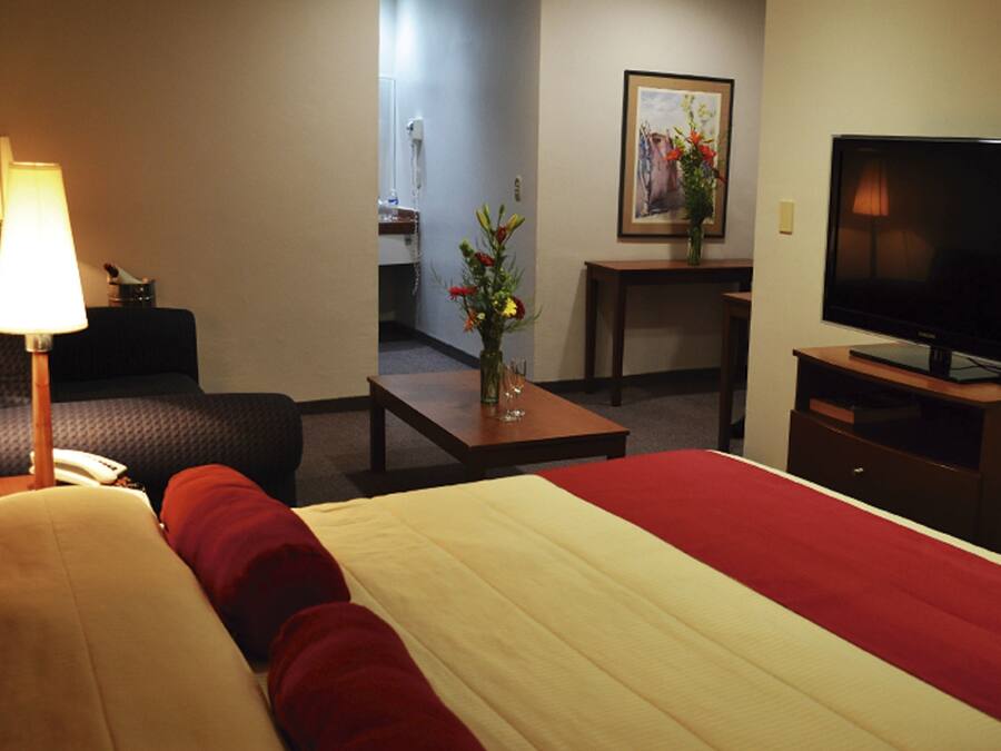 A hotel room with a bed, a TV, a desk, a lamp, a vase with flowers, and a painting on the wall.