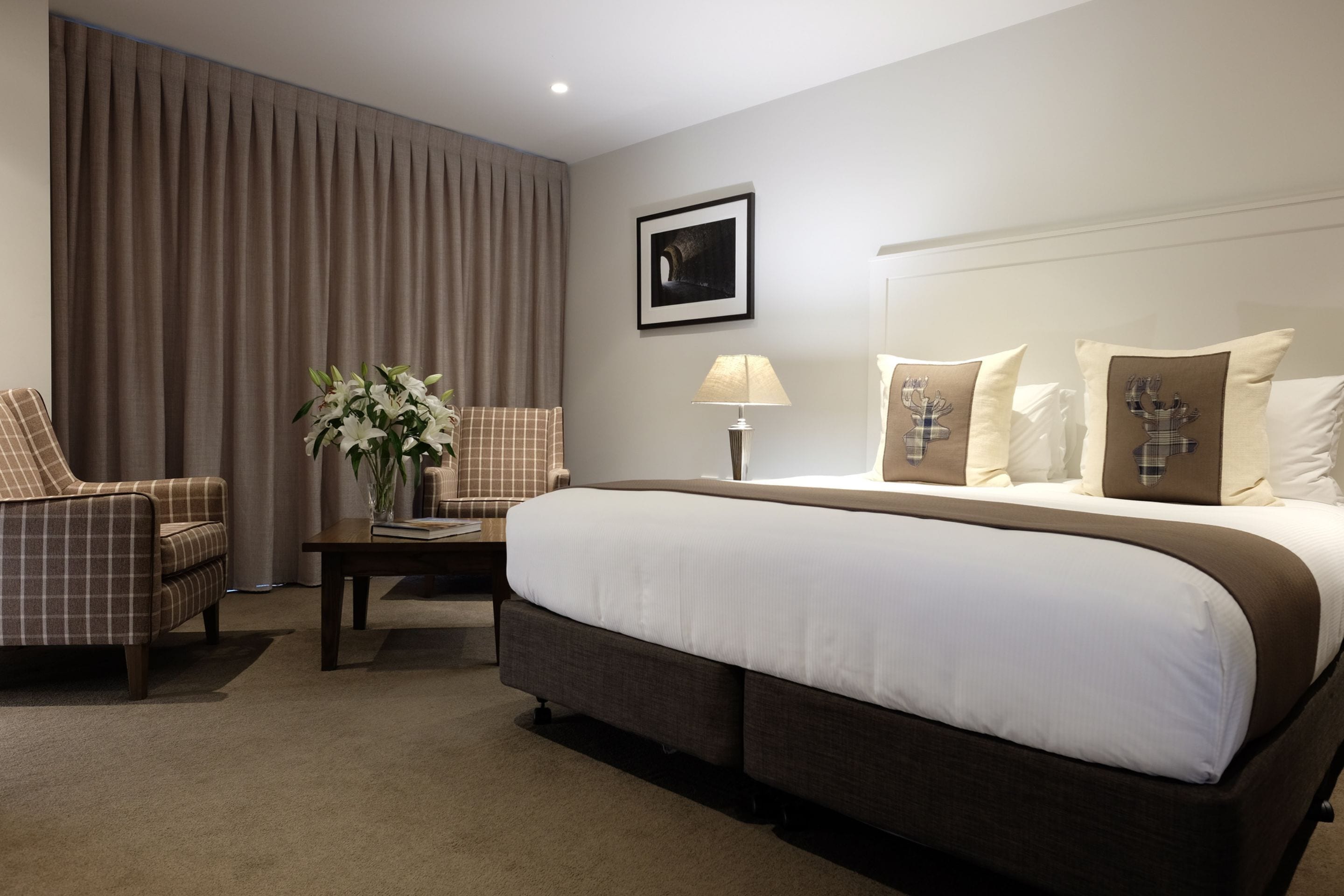 A hotel room with a large bed, a chair, a table with a lamp, and a plant.