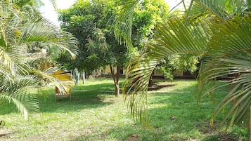 Jardí