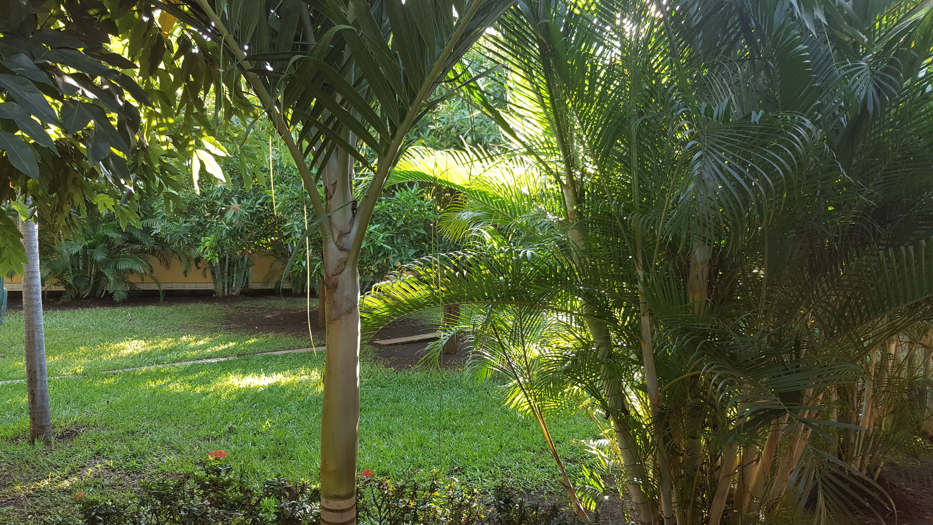 Photo - Hotel La Arboleda