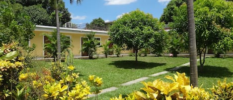 Vista del jardí