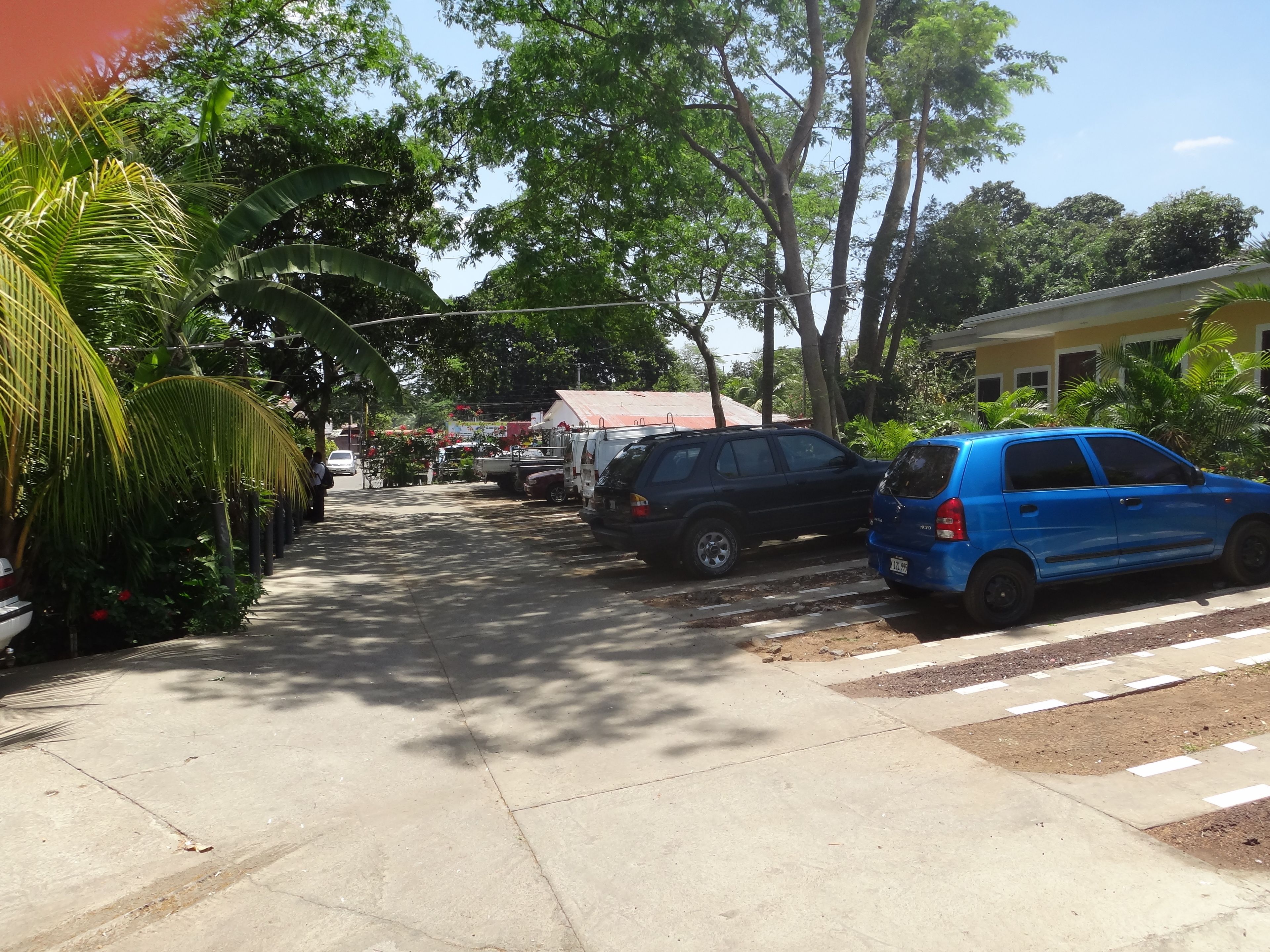 A street lined with parked cars and lush greenery, including palm trees and other tropical plants.
