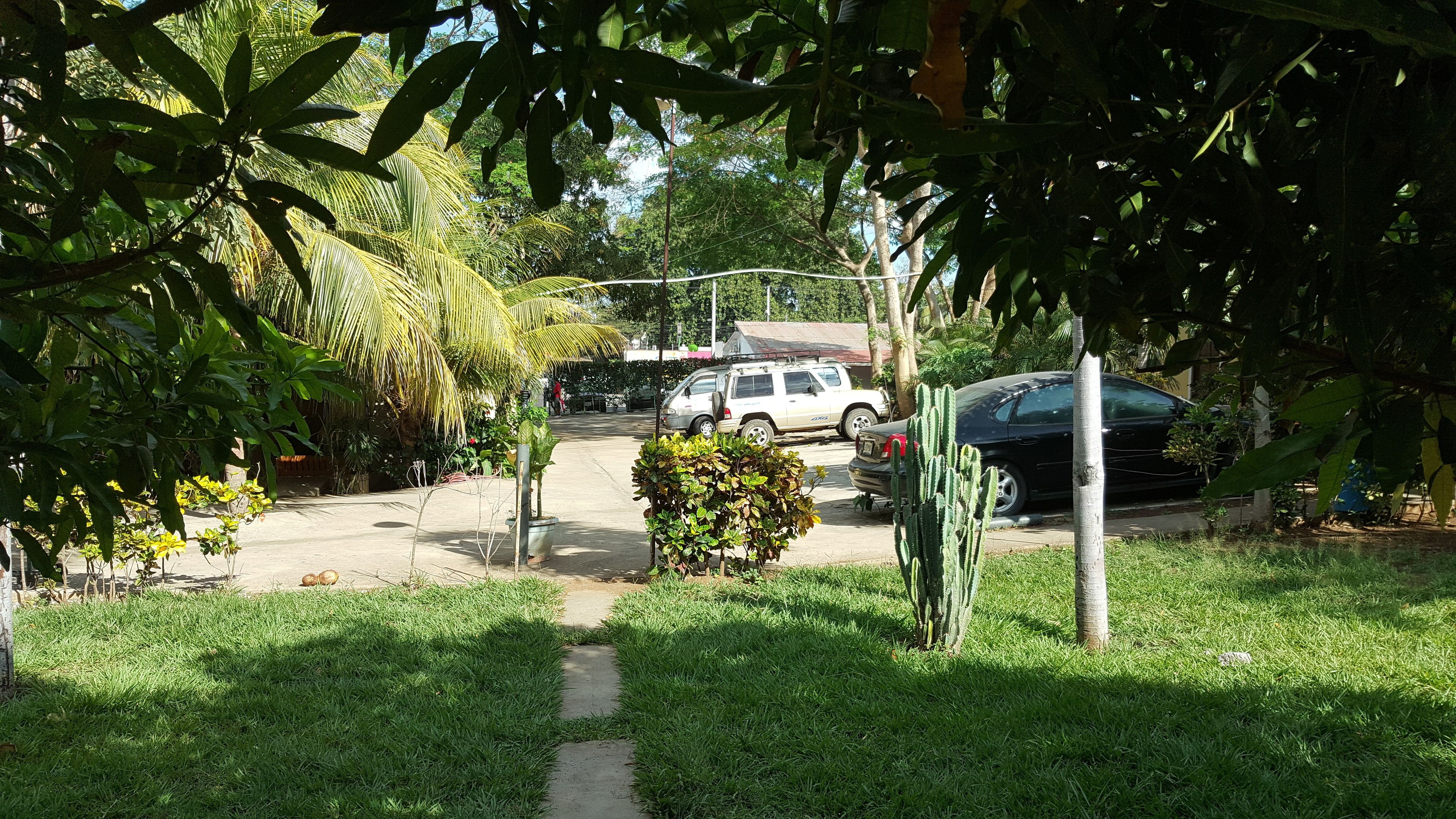 庭園