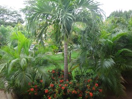 Jardín