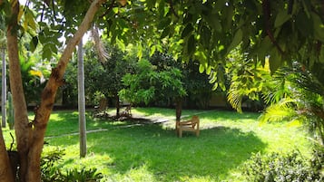 Jardí
