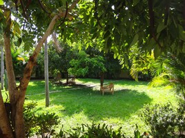 Jardín