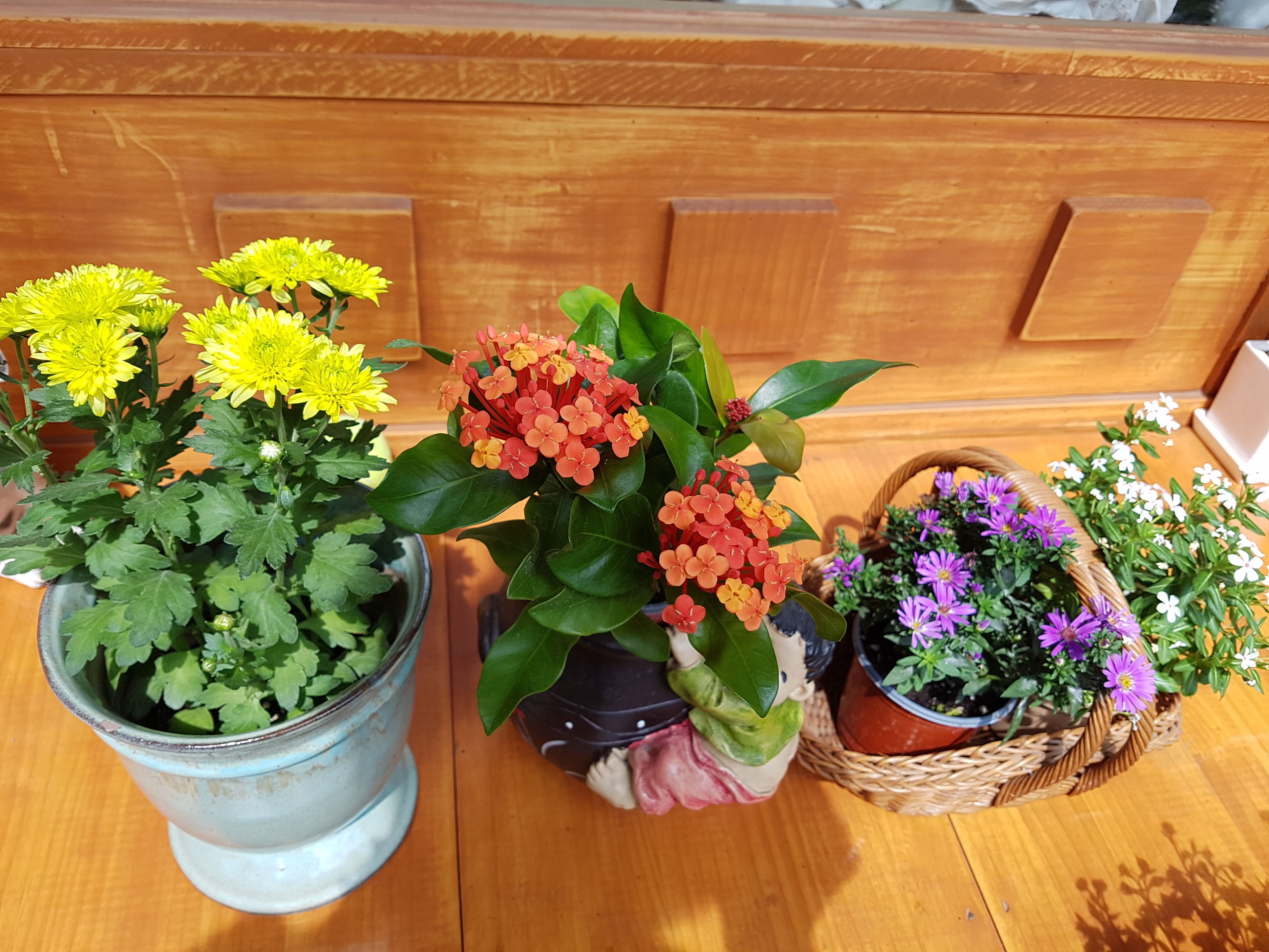 Photo - Dajayon Hanok Stay