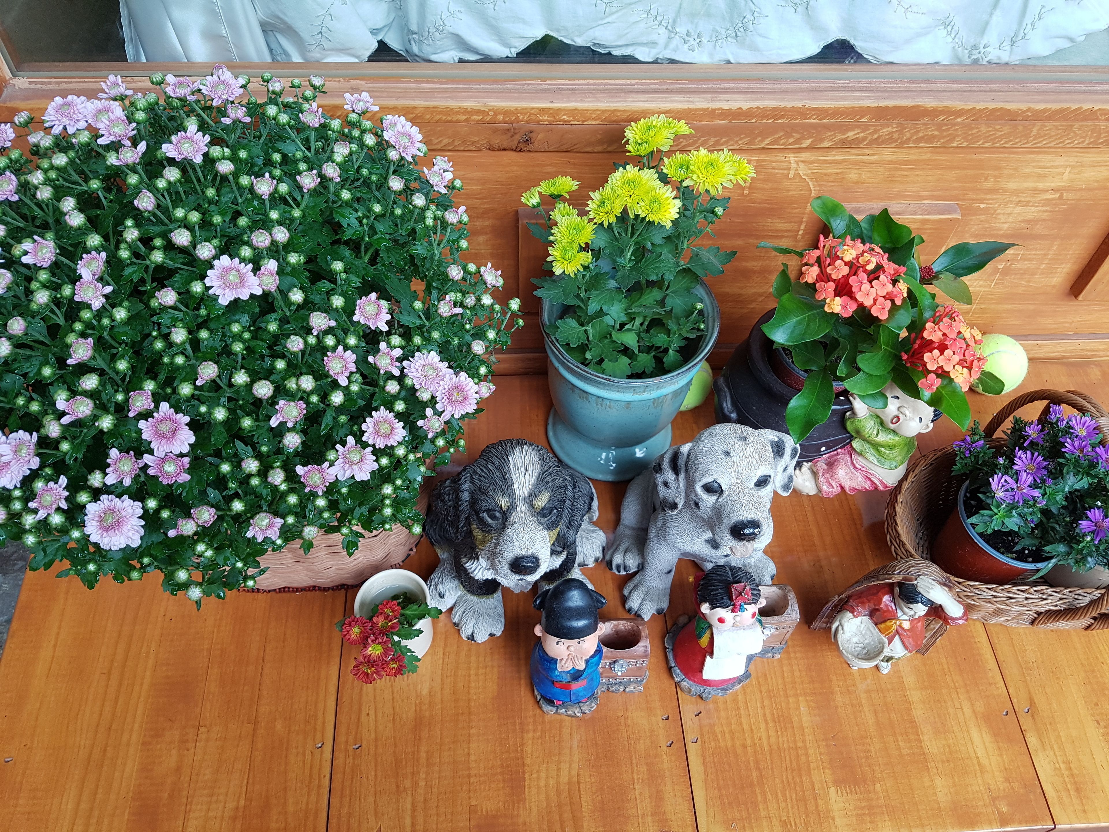 Photo - Dajayon Hanok Stay