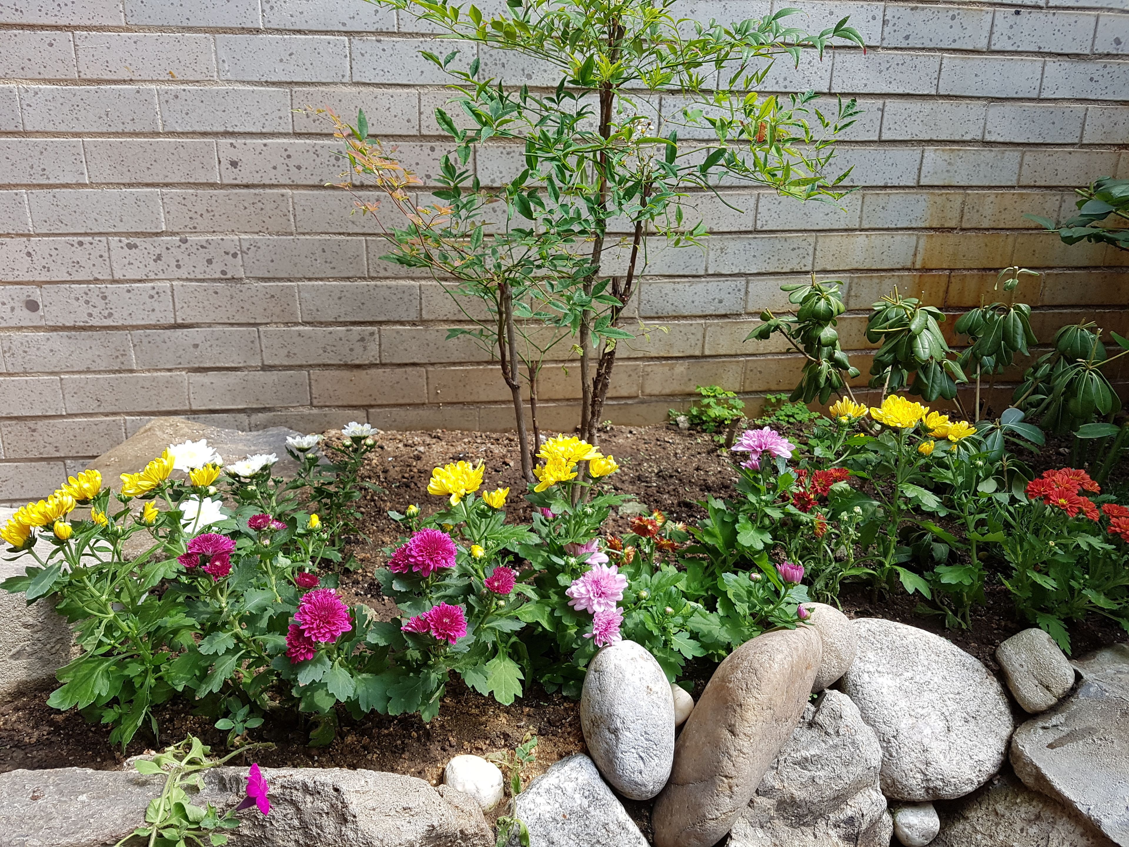 Photo - Dajayon Hanok Stay