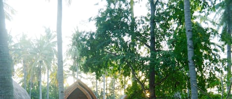 A tropical resort with a central building surrounded by palm trees and lush greenery.
