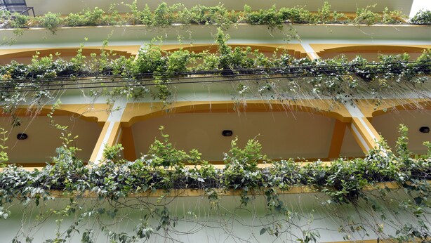 A multi-level atrium with greenery cascading down the walls. - Mood Mansion (Kamala)