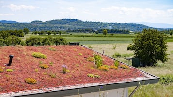 Vista para a montanha