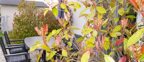 Apartment, 1 Bedroom, with Terrace (First Floor) | Terrace/patio