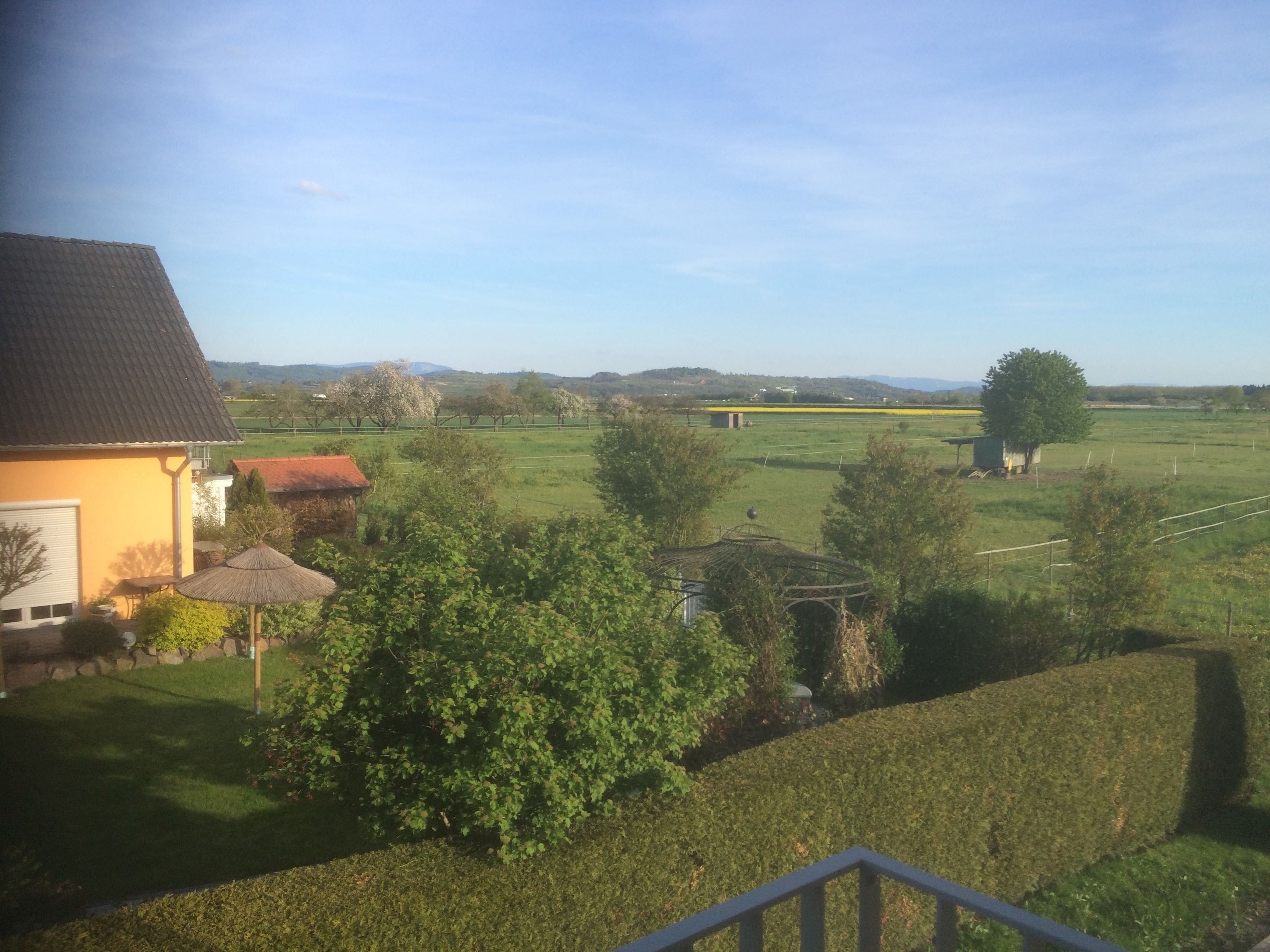 A rural landscape with a house, a thatched-roof structure, and a field.