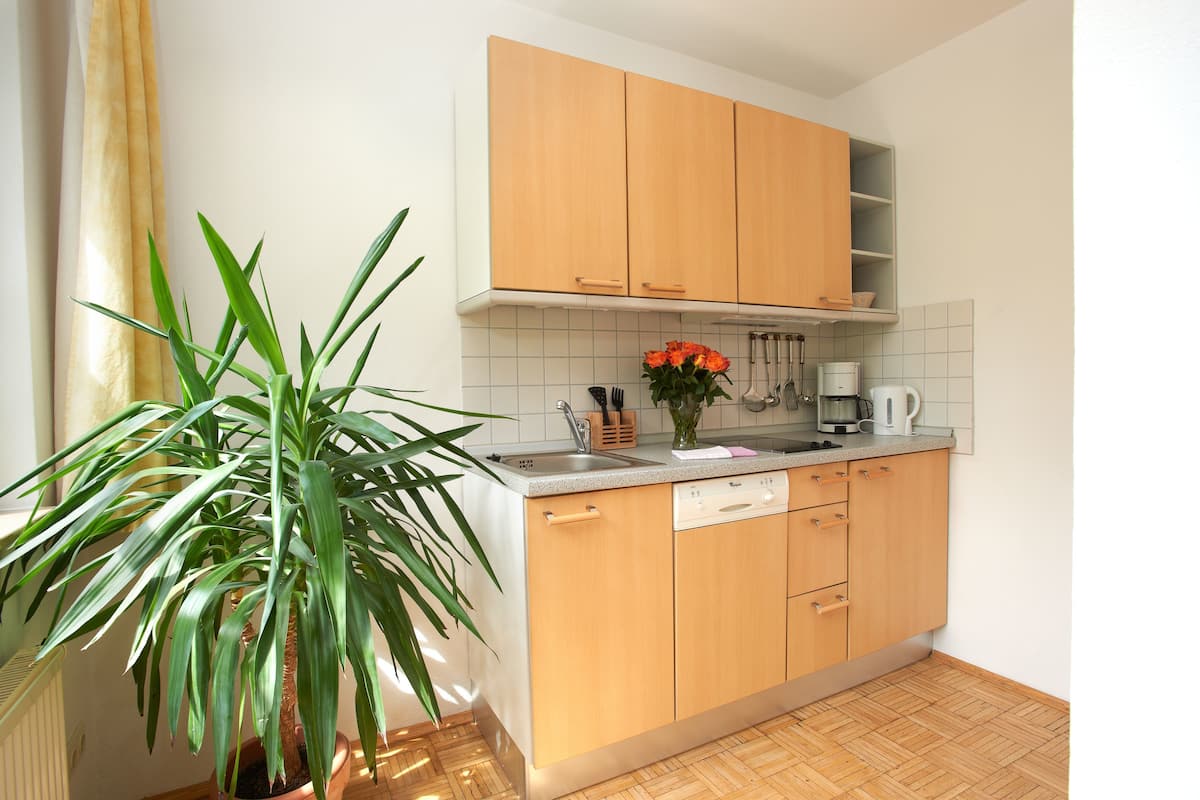 apartment | private kitchen