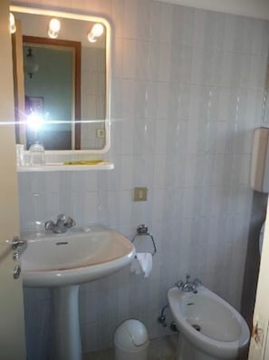 A bathroom with a sink, bidet, and mirror.