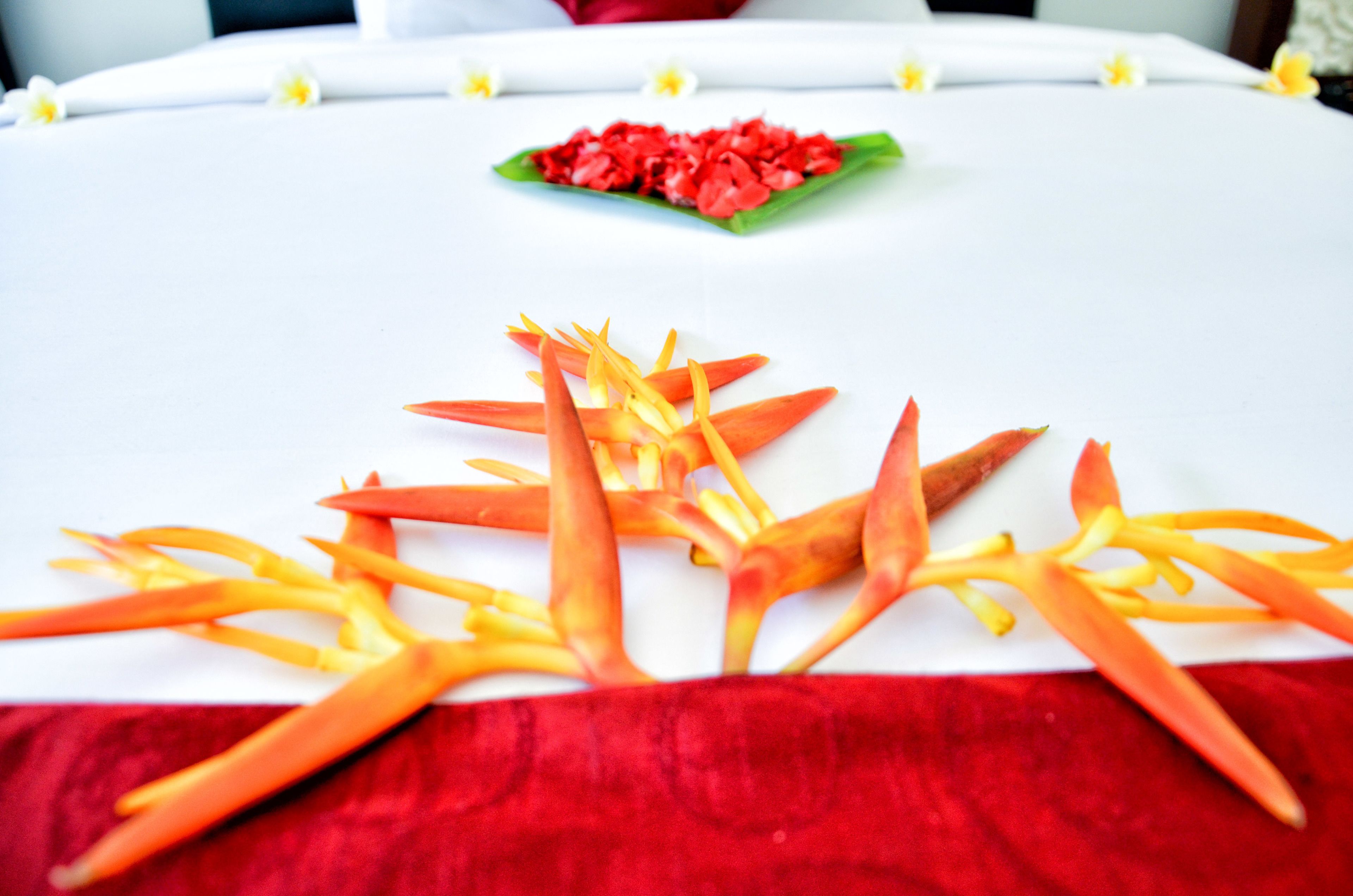 A bed with a white sheet and a red blanket, a green leaf with red flowers, and orange and yellow flower petals.