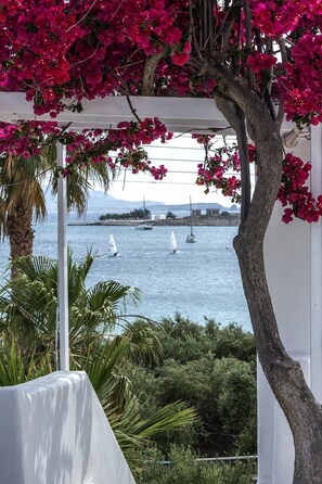 Vue depuis l’hébergement