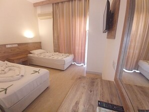 スタンダード ルーム | リビング エリア | テレビ