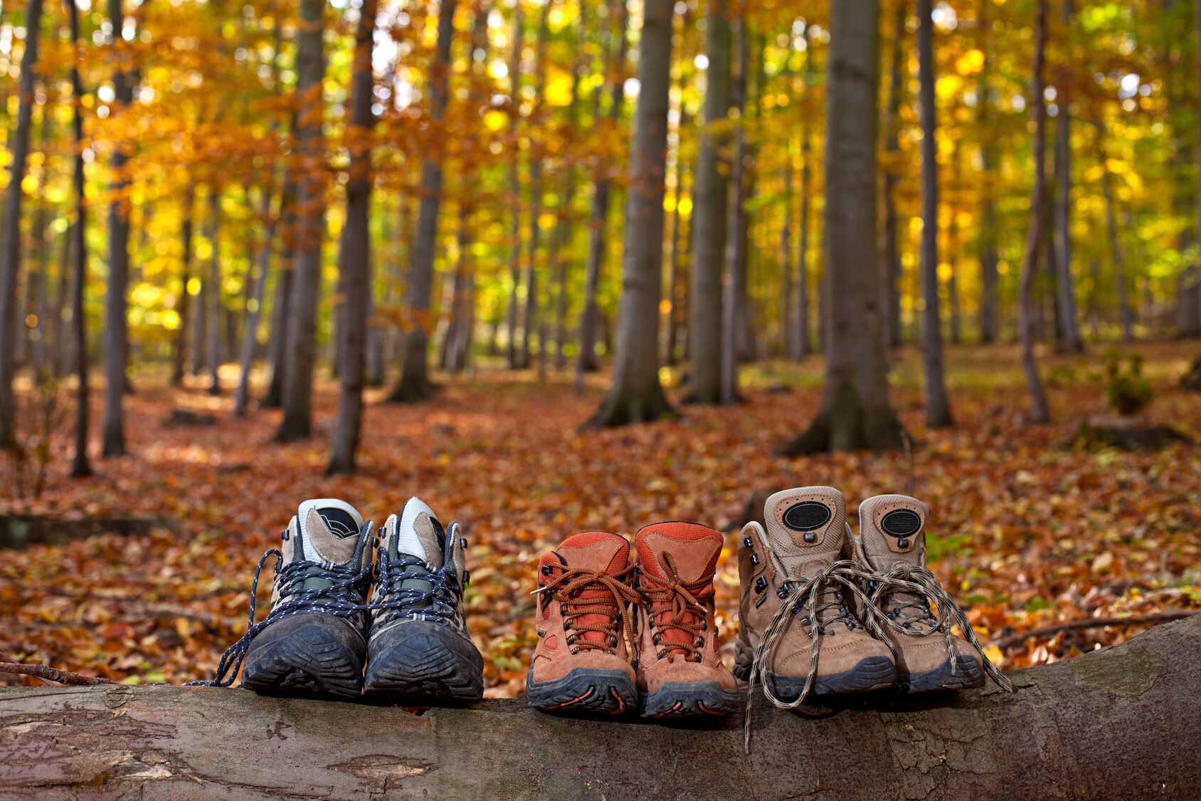 Three pairs of hiking boots on a log in a forest with autumn leaves.