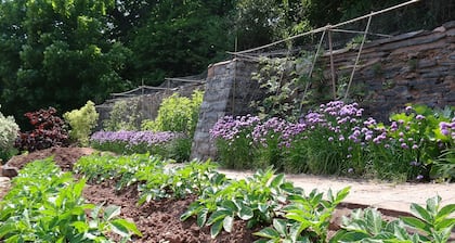 The Old Dairy at Bishops Barton