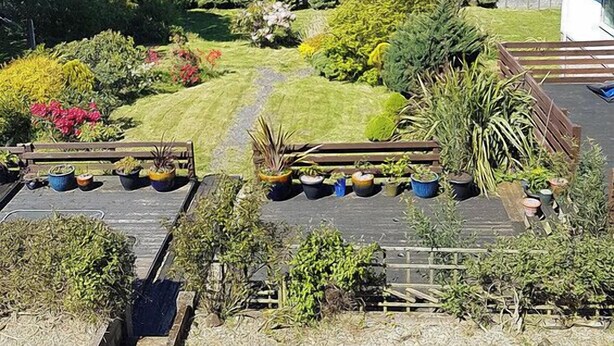 A garden with various plants and a bench. - The Mansion Bed & Breakfast (Whitehaven)