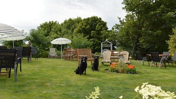 Pet-friendly