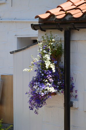 A white wall with a hanging flower basket containing purple and white flowers. - Orchard Lodge & Wolds Restaurant (Scarborough)