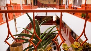 Vista de uma varanda com guarda-corpo geométrico, um vaso de aloe vera e um vislumbre do interior.