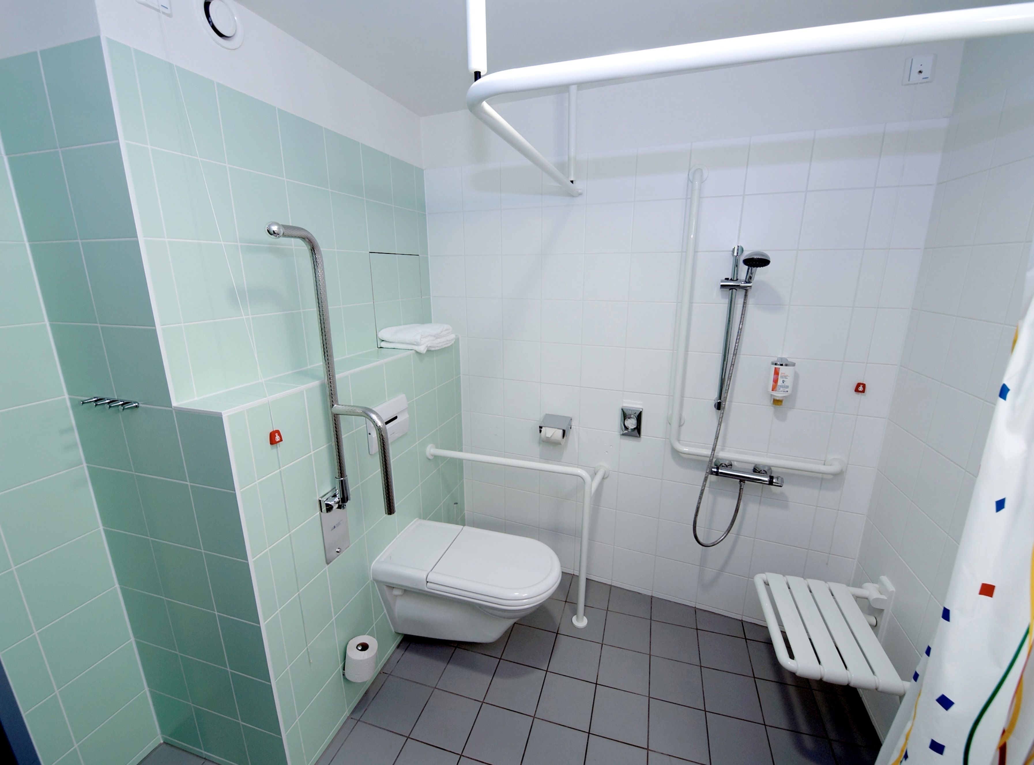 A bathroom with a toilet, a shower, and a grab bar.