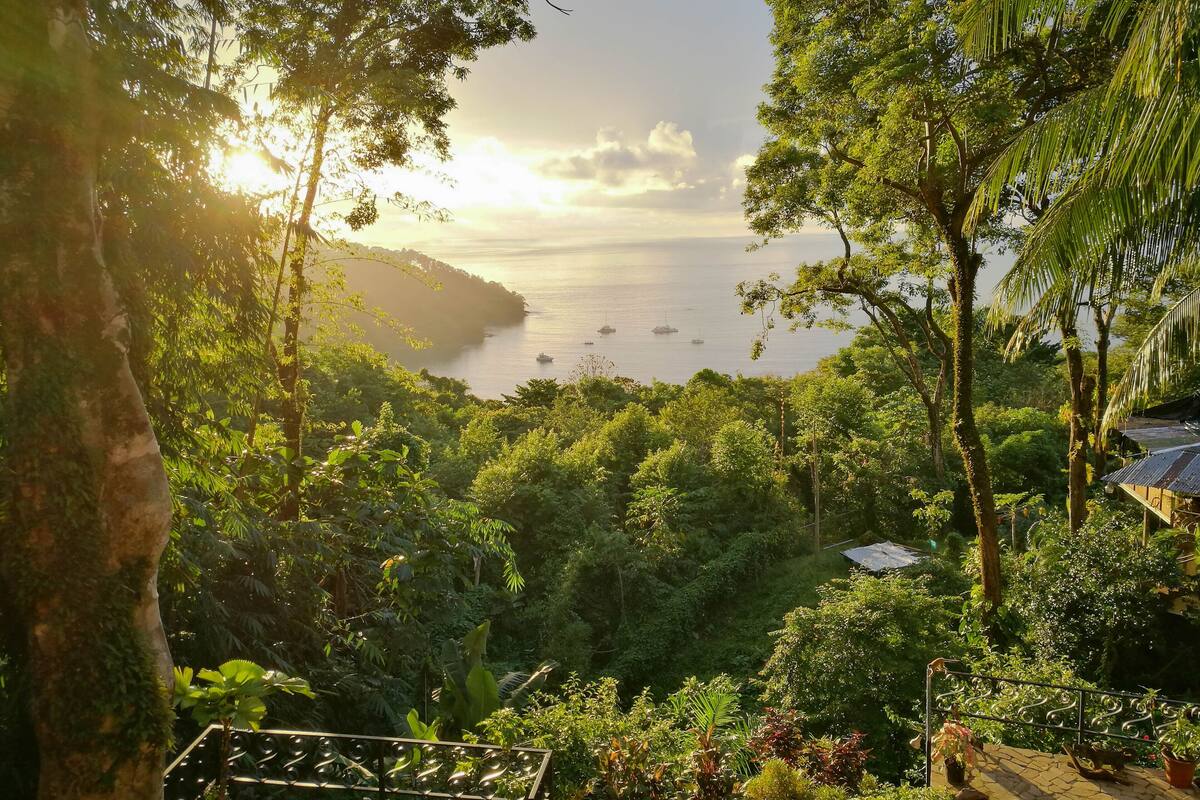 Un paysage verdoyant et luxuriant, avec une vue sur la mer et des bateaux.