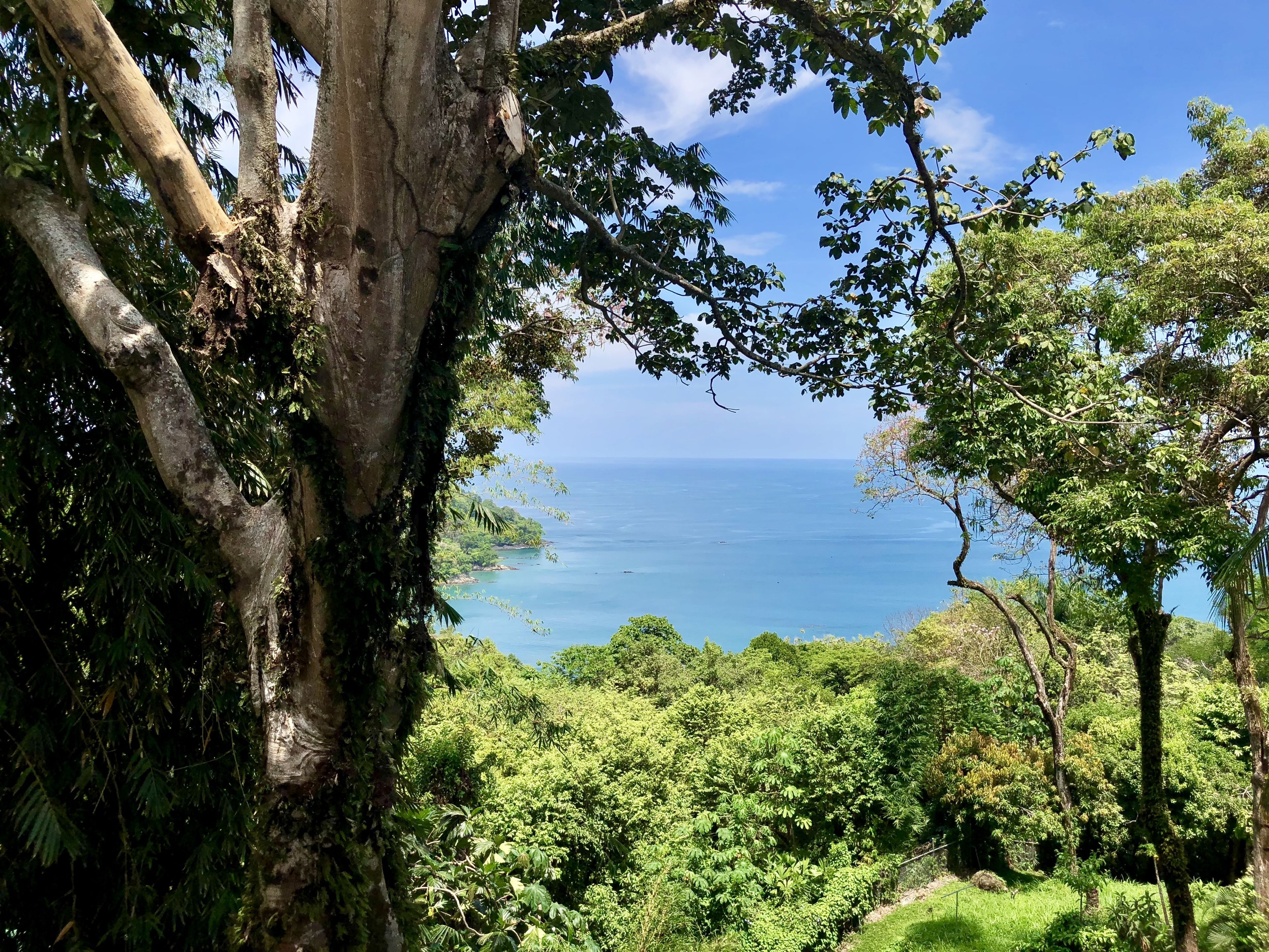 land view from property