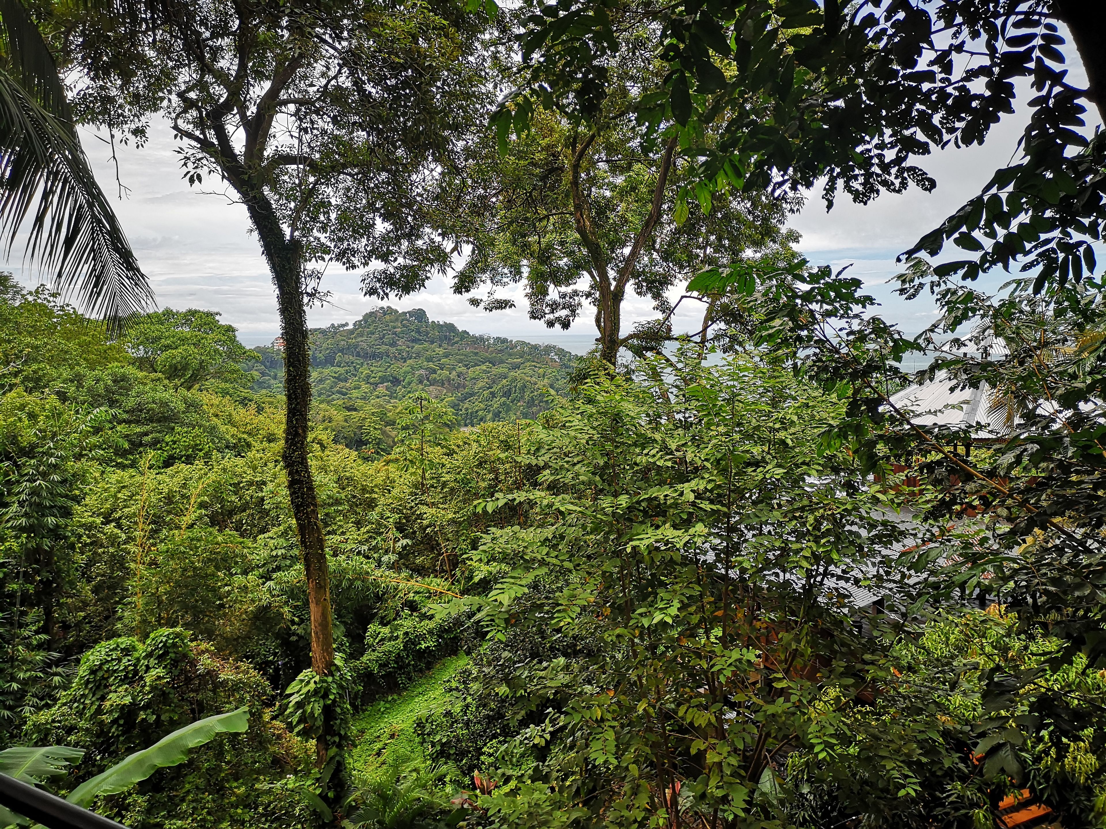 deluxe room, 1 king bed, partial ocean view | view from room