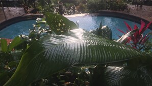 Una piscina rodeada de exuberante vegetación y un sendero de piedra.