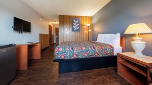 Une chambre d’hôtel avec un lit, un bureau, une télévision et une lampe.