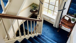 A staircase with blue carpeted steps, white railings, and a wooden handrail.