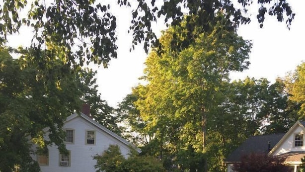 An outdoor patio with stone flooring, surrounded by greenery and trees. - Scotch Hill Inn (Ogunquit)