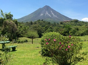Property grounds - Cabinas Los Guayabos (La Fortuna)