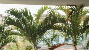 Una mesa de comedor con alimentos para el desayuno, rodeada de sillas, y vistas al exterior con vegetación.