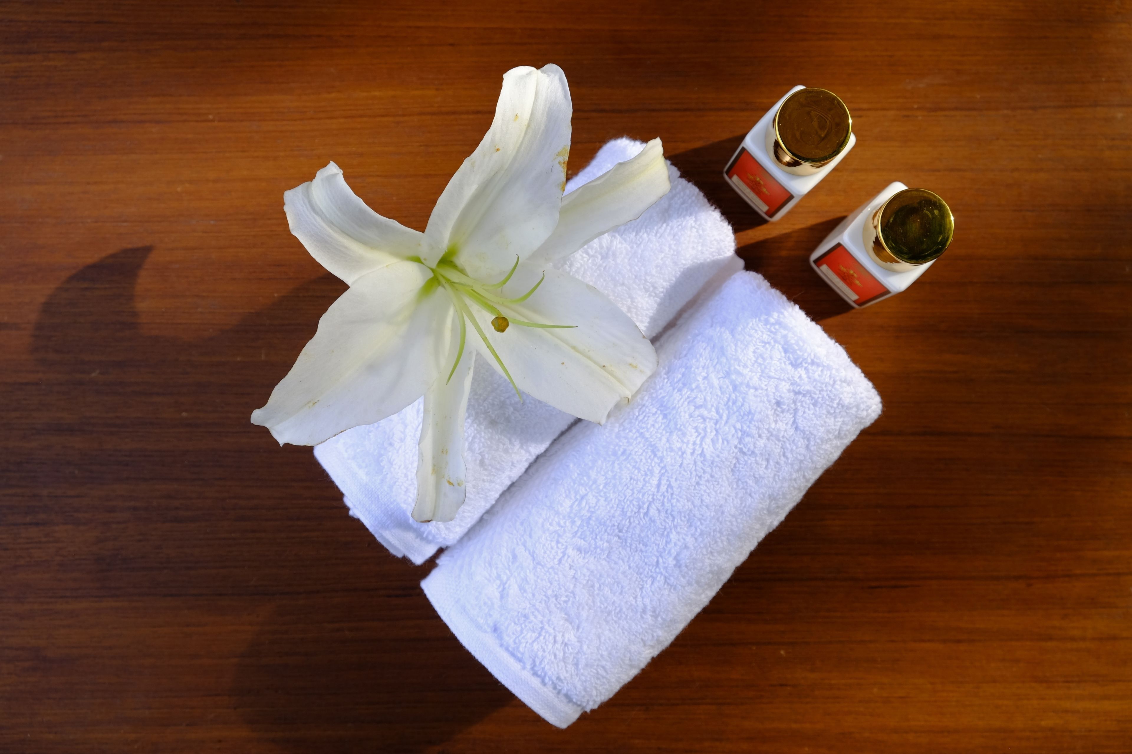 shower, free toiletries, hair dryer, bathrobes