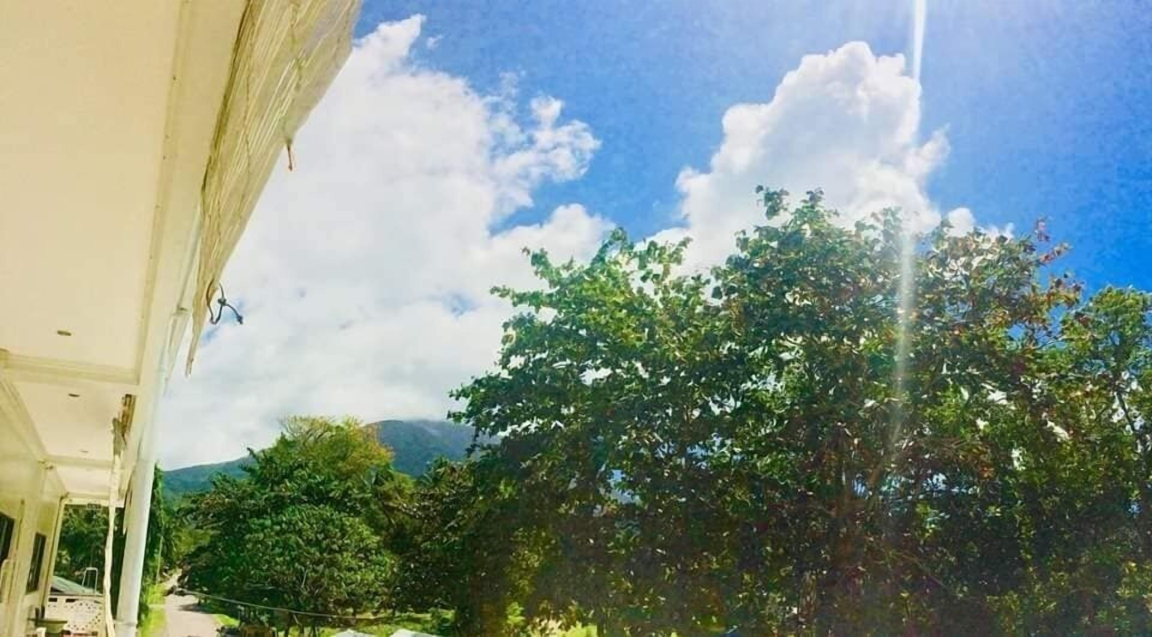 Vista de un edificio, con un gran árbol en primer plano y una montaña al fondo.