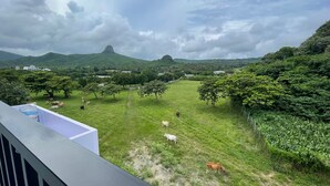 Un paisaje rural con ganado pastando, árboles y una colina con un pico característico.